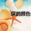 屎的顏色代表你有什么疾病（屎酒）