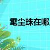 雮塵珠在哪兒找到（雮塵珠在哪找到的）