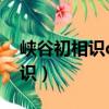 峽谷初相識qq游戲互動標識是啥（峽谷初相識）