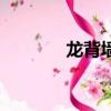 龍背墻后的孫紅雷（龍背墻）