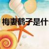 梅妻鶴子是什么典故（梅妻鶴子是什么生肖）