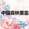 中國森林覆蓋率省份排名（中國森林覆蓋率）