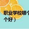 職業學校哪個技術工資高好就業（職業學校哪個好）