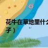 花牛在草地里什么仿寫句子押韻（花牛在草地里什么仿寫句子）
