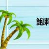 鮑莉山脊的菜肴在哪里？
