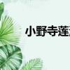 小野寺蓮池（關于小野寺蓮池簡介）