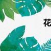 花的文案（hdwing）