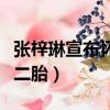 張梓琳宣布懷二胎上牛年春晚（張梓琳宣布懷二胎）