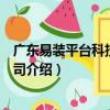 廣東易裝平臺科技有限公司（關于廣東易裝平臺科技有限公司介紹）