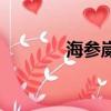 海參崴讀音（海參崴怎么讀）