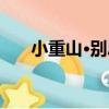 小重山·別思（關于小重山·別思簡介）