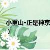小重山·正是神京爛熳時（關于小重山·正是神京爛熳時簡介）