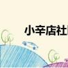 小辛店社區（關于小辛店社區簡介）
