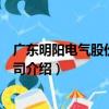 廣東明陽電氣股份有限公司（關于廣東明陽電氣股份有限公司介紹）