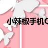 小辣椒手機Q1（關于小辣椒手機Q1簡介）
