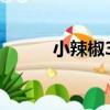 小辣椒3S（關于小辣椒3S簡介）