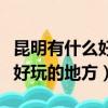 昆明有什么好玩的地方適合小孩（昆明有什么好玩的地方）