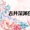 古井深淵在線觀看完整版（古井深淵）