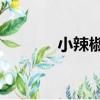 小辣椒4（關于小辣椒4簡介）