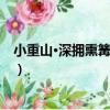 小重山·深擁熏篝條已冥（關于小重山·深擁熏篝條已冥簡介）