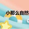 小那么自然村（關于小那么自然村簡介）