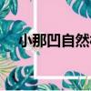小那凹自然村（關于小那凹自然村簡介）