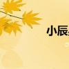 小辰星（關于小辰星簡介）