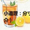 小道理：分寸之間（關于小道理：分寸之間簡介）