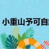 小重山予可自解（關于小重山予可自解簡介）