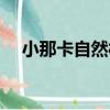 小那卡自然村（關于小那卡自然村簡介）