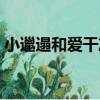 小邋遢和愛干凈（關于小邋遢和愛干凈簡介）