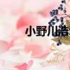 小野川浩幸（關于小野川浩幸簡介）