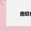 鹿晗代言手表品牌被曝中國