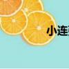 小連張（關于小連張簡介）