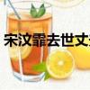 宋汶霏去世丈夫為啥不養孩子（宋汶霏去世）