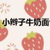 小辮子牛奶面包（關于小辮子牛奶面包簡介）
