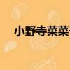 小野寺菜菜子（關于小野寺菜菜子簡介）