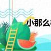 小那么村（關于小那么村簡介）