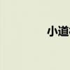 小道村（關于小道村簡介）