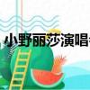 小野麗莎演唱會（關于小野麗莎演唱會簡介）