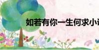如若有你一生何求小說(如若)