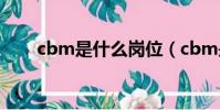 cbm是什么崗位(cbm是什么單位)