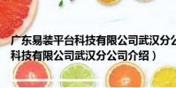 廣東易裝平臺科技有限公司武漢分公司(關于廣東易裝平臺科技有限公司武漢分公司介紹)