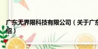 廣東無界限科技有限公司(關于廣東無界限科技有限公司介紹)