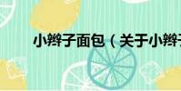 小辮子面包(關于小辮子面包簡介)