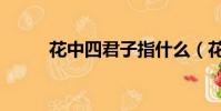 花中四君子指什么(花中四君子)