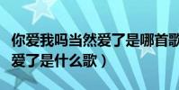 你愛我嗎當然愛了是哪首歌詞(你愛我嗎當然愛了是什么歌)