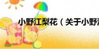 小野江梨花(關于小野江梨花簡介)