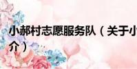 小郝村志愿服務隊(關于小郝村志愿服務隊簡介)