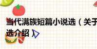 當代滿族短篇小說選(關于當代滿族短篇小說選介紹)